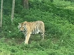 -西安秦岭野生动物园