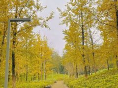 -重庆中央公园(渝北区)