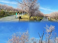 -迎泽公园