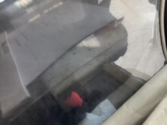 -半岛宠物医院24小时·内窥镜·牙科·碎石中心(府城大道店)