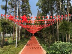 -上海长兴岛郊野公园