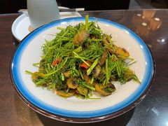 -阿西娅食府(中关村店)