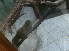 android_upload_pic-上海大自然野生昆虫馆