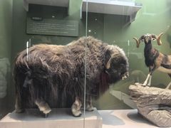 -国家自然博物馆