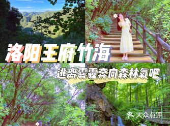 逃离雾霾奔向森林氧吧️洛阳王府竹海