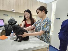 -佩兹宠物医院肿瘤专科·眼科·牙科(黄浦店)