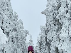 -武陵山森林公园