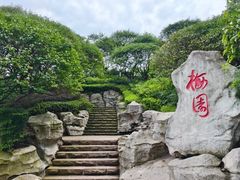 -重庆彩云湖湿地公园