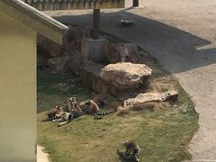 -无锡动物园·太湖欢乐园