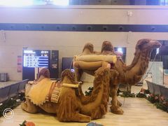 -敦煌莫高国际机场