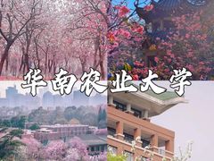 -府上酒店(广州火车站越秀公园地铁站店)
