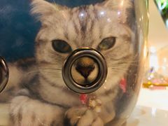 -Husky Go! 哈士奇体验馆·宠物咖啡厅狗咖