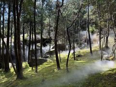 -玉苍山国家森林公园