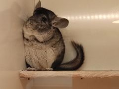 -龙猫仔乐园(惠福东路店)