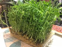 -南城十里潮汕鲜牛火锅·鲜虾生滚粥(融汇老商埠店)