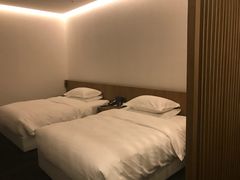 -东阿阿胶文化酒店