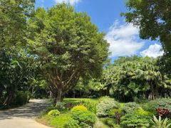 -深圳国际园林花卉博览园