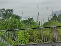 -芳草地度假酒店·野炉中餐厅
