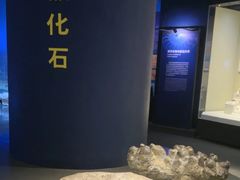 -天津自然博物馆