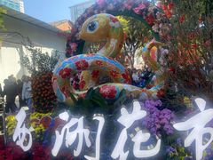 -越秀西湖花市(广州城市广场花卉店)