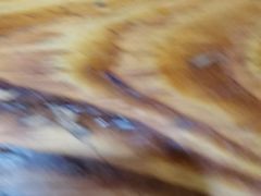-粤盛海鲜平价店(洛溪食街店)