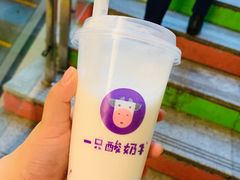 -一只酸奶牛(八一路店)