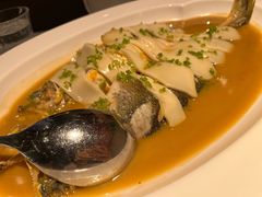 -桂满陇·海市蜃楼·黑金(国金店)