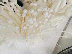 -王家渡火锅店(棕榈泉店)