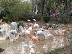 -昆明动物园