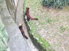 -西安秦岭野生动物园