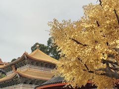-广东圆玄道观