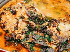 -炭舍干锅·烤鱼(扬名广场店)