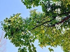 -中国丝绸博物馆