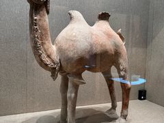 -敦煌市博物馆