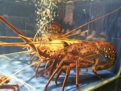 -徐记海鲜(陕西历史博物馆|明德门店)