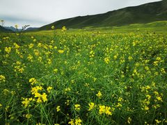 -扁都口生态休闲旅游区
