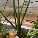 颜值即正义的咖啡店打卡#REFORM COFFEE 
