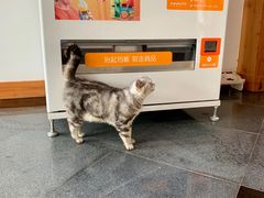 -东方艺术博物馆