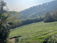 -敬亭山风景名胜区