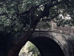 -西湖游船