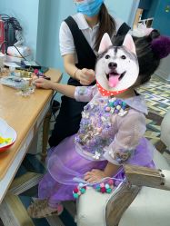 -同远QQBABY亲子摄影(北京路店)