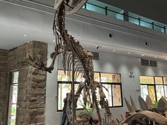 -自贡恐龙博物馆