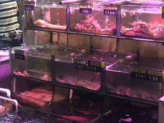 -揭阳钟记小食(福田新村店)