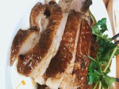 -乌文新澄海卤鹅店