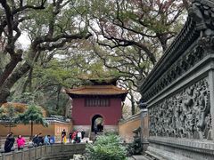 -普陀山风景名胜区-法雨禅寺