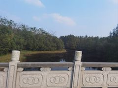 -上海海湾国家森林公园