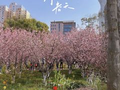 -黄兴公园