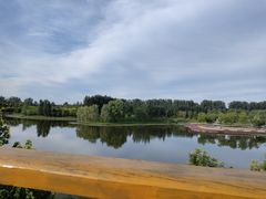 -东郊湿地公园