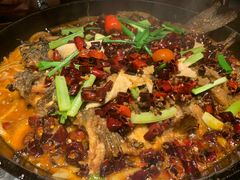 -老板恋上鱼(高新万达店)