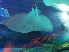 -沈阳海洋探索中心